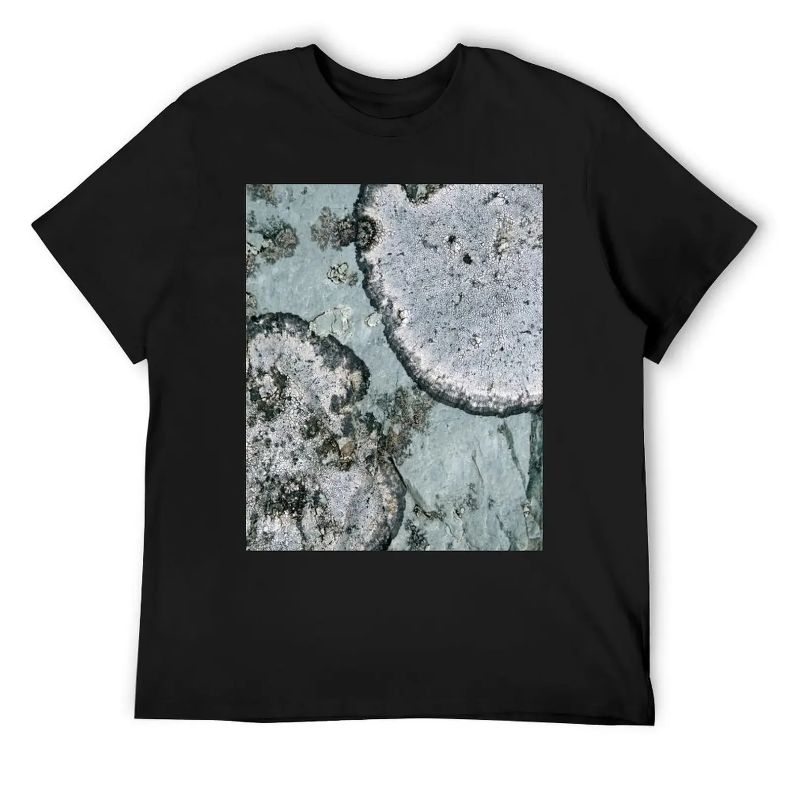 lichen T-Shirt vintage graphic tee plus size tops shirts graphic heavyweight t shirts for men
lichen T-Shirt vintage graphic tee plus size tops shirts graphic heavyweight t shirts for men