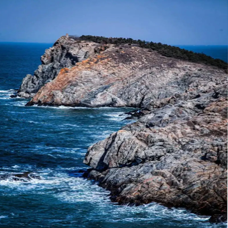 Flycolor X-TOWER 2 F7 60A 4 в 1 ESC Flying Tower/Stack FPV Bluetooth для регулировки параметров Светодиодный контроль полета
Flycolor X-TOWER 2 F7 60A 4 в 1 ESC Flying Tower/Stack FPV Bluetooth для регулировки параметров Светодиодный контроль полета