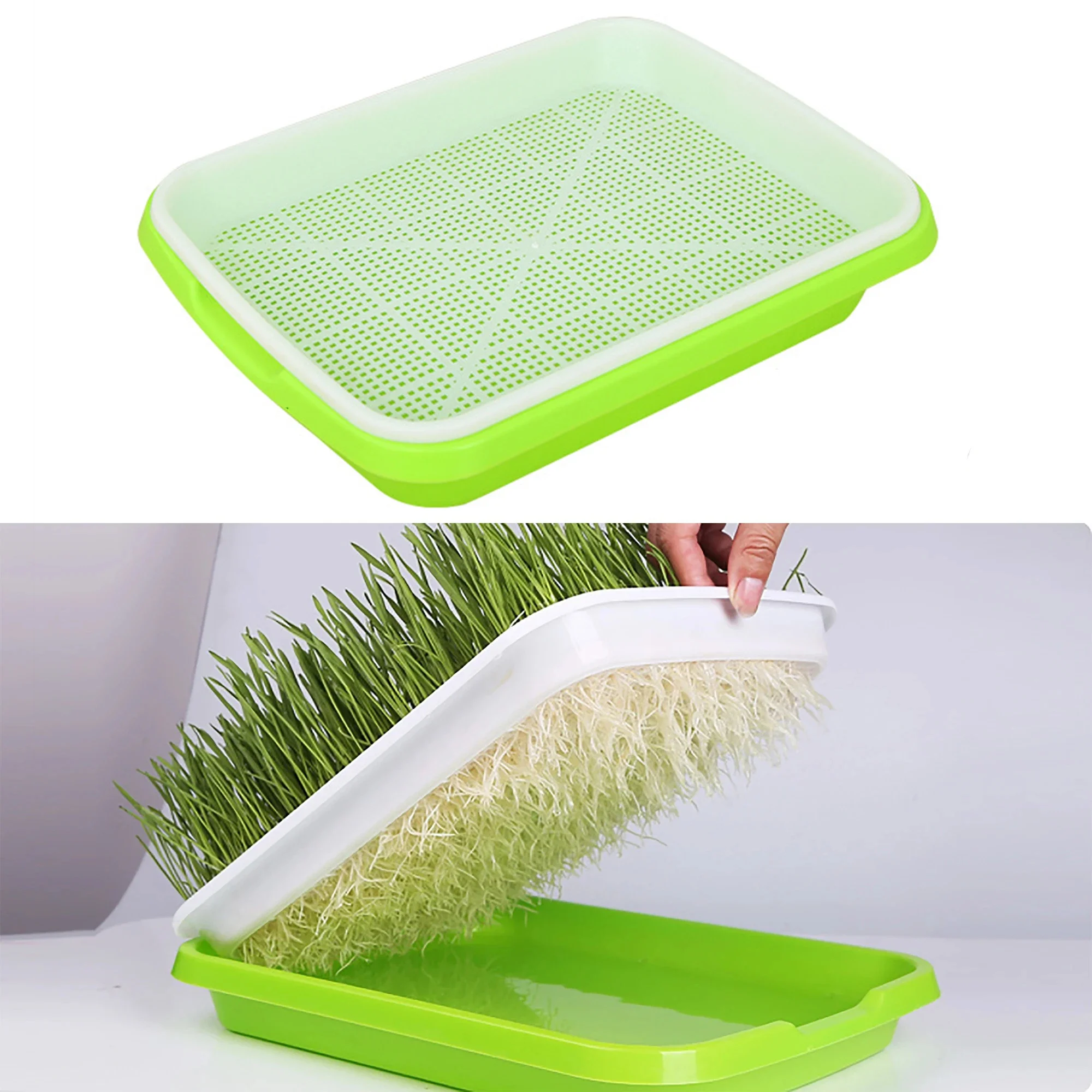 Germination Tray Seed Germination Tray Seedling Tray Wheatgrass Seed Planting Soilless Cultivation Planting Pot
Germination Tray Seed Germination Tray Seedling Tray Wheatgrass Seed Planting Soilless Cultivation Planting Pot