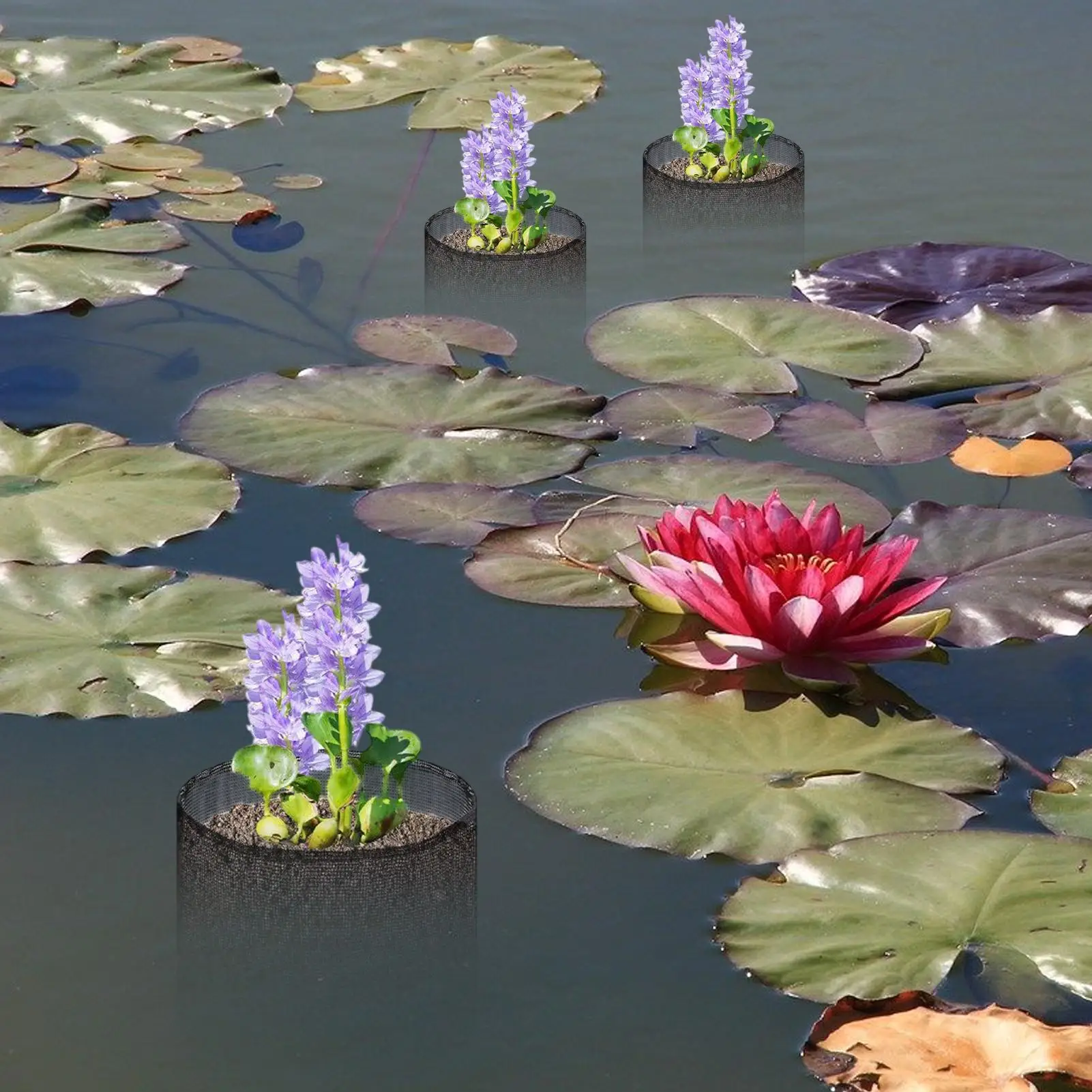 Pond Planter Floating Plant Pot 4X Floating Aquatic Mesh Breathable Planting Bags For Water Planting Indoor Garden Balcony
Pond Planter Floating Plant Pot 4X Floating Aquatic Mesh Breathable Planting Bags For Water Planting Indoor Garden Balcony