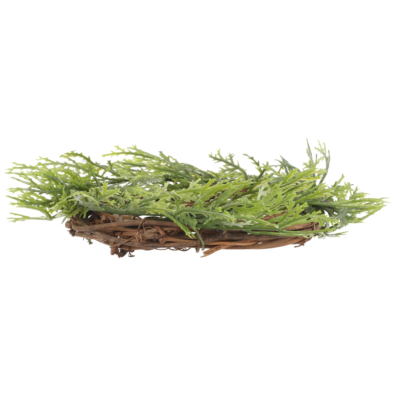 Artificial Garland Wreath for Front Door Holiday Decor Plastic Rattan Bright Color Fine Texture Easy Install
Artificial Garland Wreath for Front Door Holiday Decor Plastic Rattan Bright Color Fine Texture Easy Install