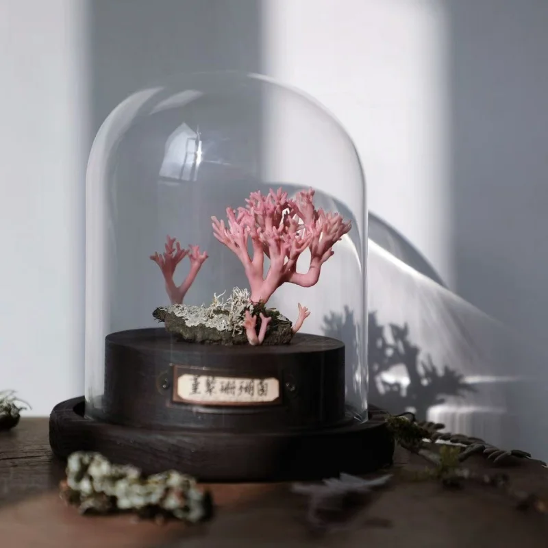 Mushroom Resin Clay Customizable Desktop Decorations Handmade High-End Customization Creative Gifts Kid Handicrafts Craft Toy
Mushroom Resin Clay Customizable Desktop Decorations Handmade High-End Customization Creative Gifts Kid Handicrafts Craft Toy