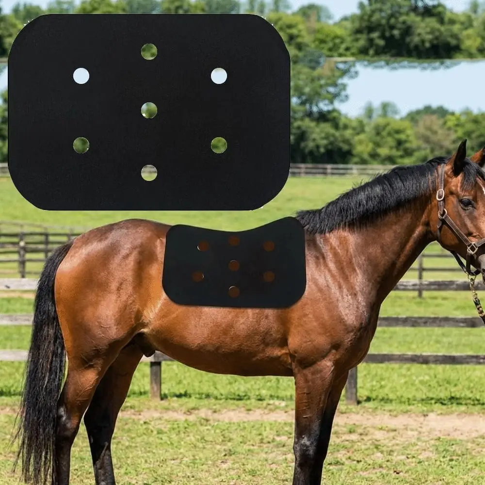 Shock Absorption Felt Saddle Pad Cushioned Comfort Breathable Saddle Seat Cushion Wicking Comfortable Bareback Pad
Shock Absorption Felt Saddle Pad Cushioned Comfort Breathable Saddle Seat Cushion Wicking Comfortable Bareback Pad