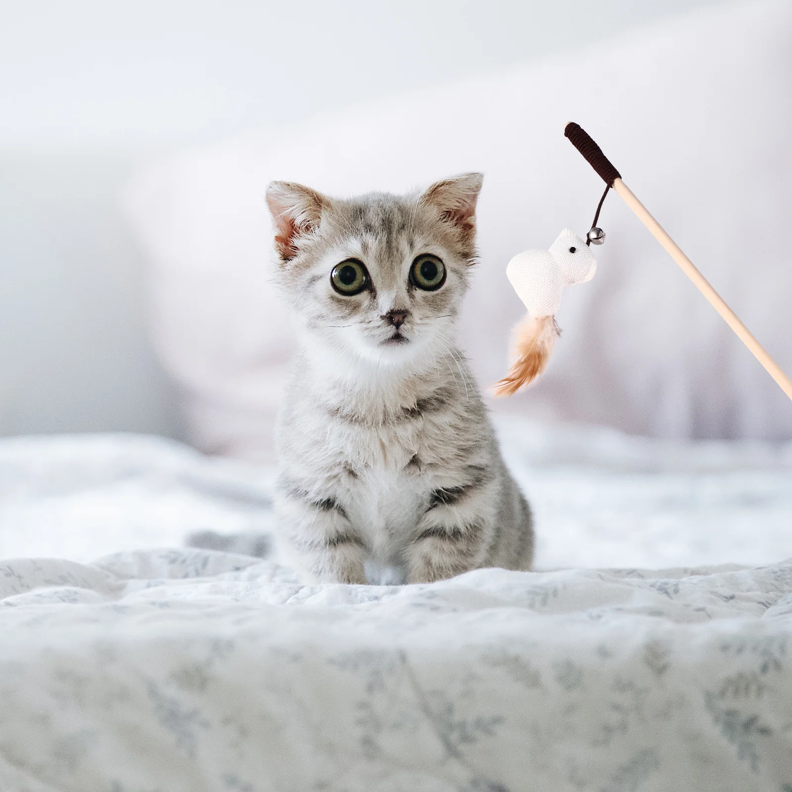 5pcs Cat Teaser Stick Interactive String Kitten Play Linen Indoor Training Flirting Pendant Exercise Gift For Cats
5pcs Cat Teaser Stick Interactive String Kitten Play Linen Indoor Training Flirting Pendant Exercise Gift For Cats