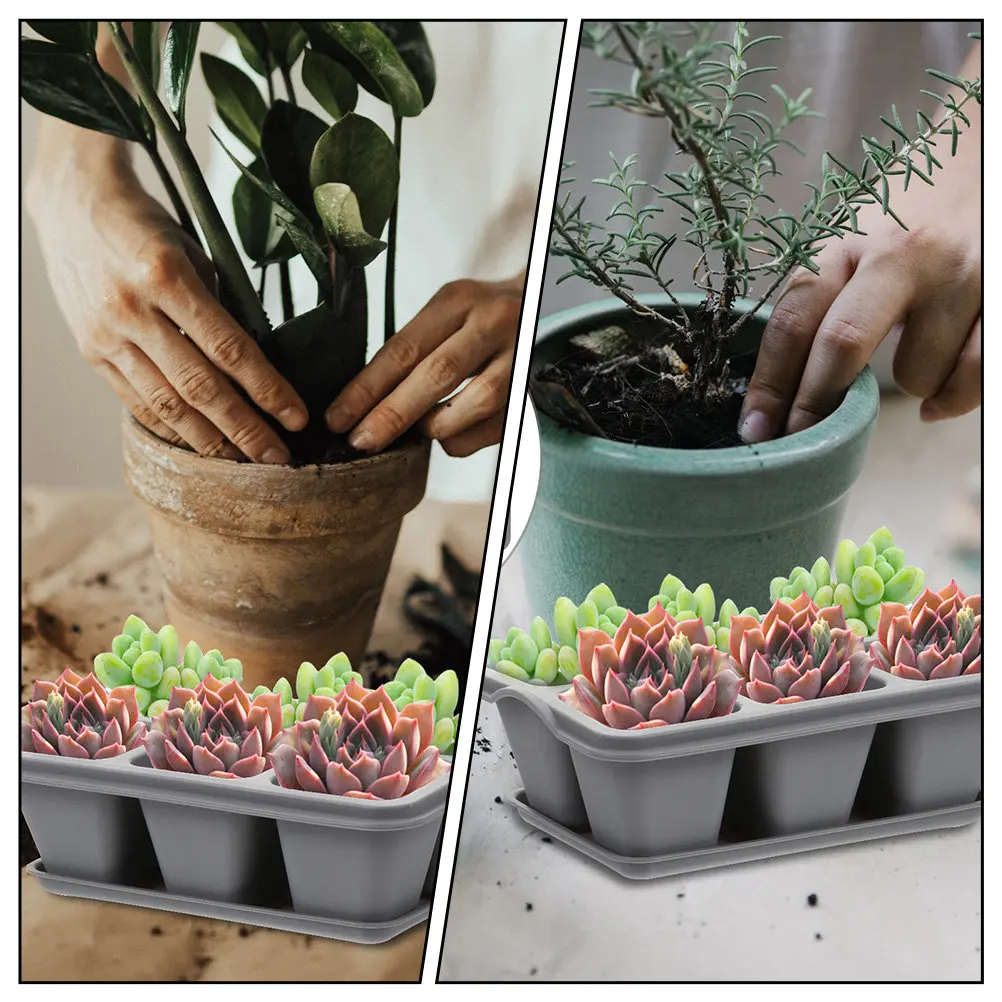 2Pcs 6 Grid Succulent Planter Plastic Flowerpot with Saucer for Indoor Outdoor Gardening Home Decor Living Room Kitchen Window
2Pcs 6 Grid Succulent Planter Plastic Flowerpot with Saucer for Indoor Outdoor Gardening Home Decor Living Room Kitchen Window