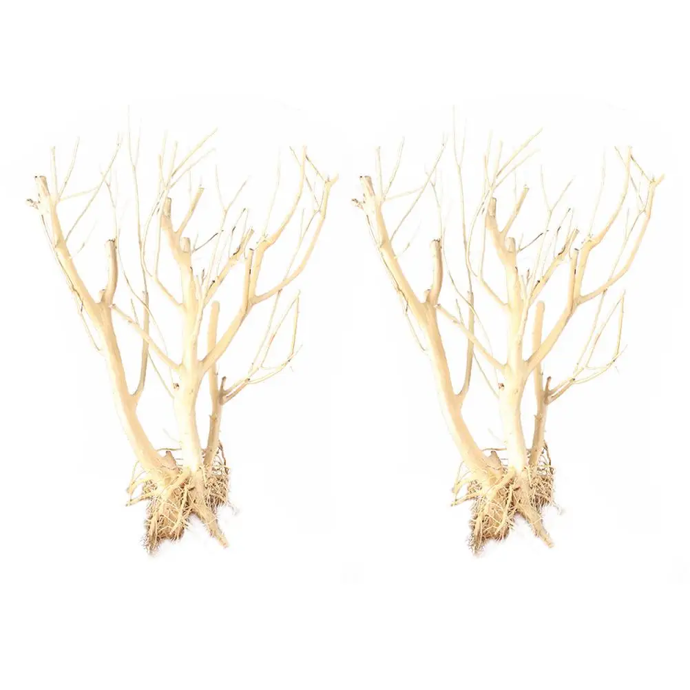 2 Pcs Faux Plant Aquarium Small Tree Twig Adornment Decorative Landscape Fish Tank Supplies
2 Pcs Faux Plant Aquarium Small Tree Twig Adornment Decorative Landscape Fish Tank Supplies