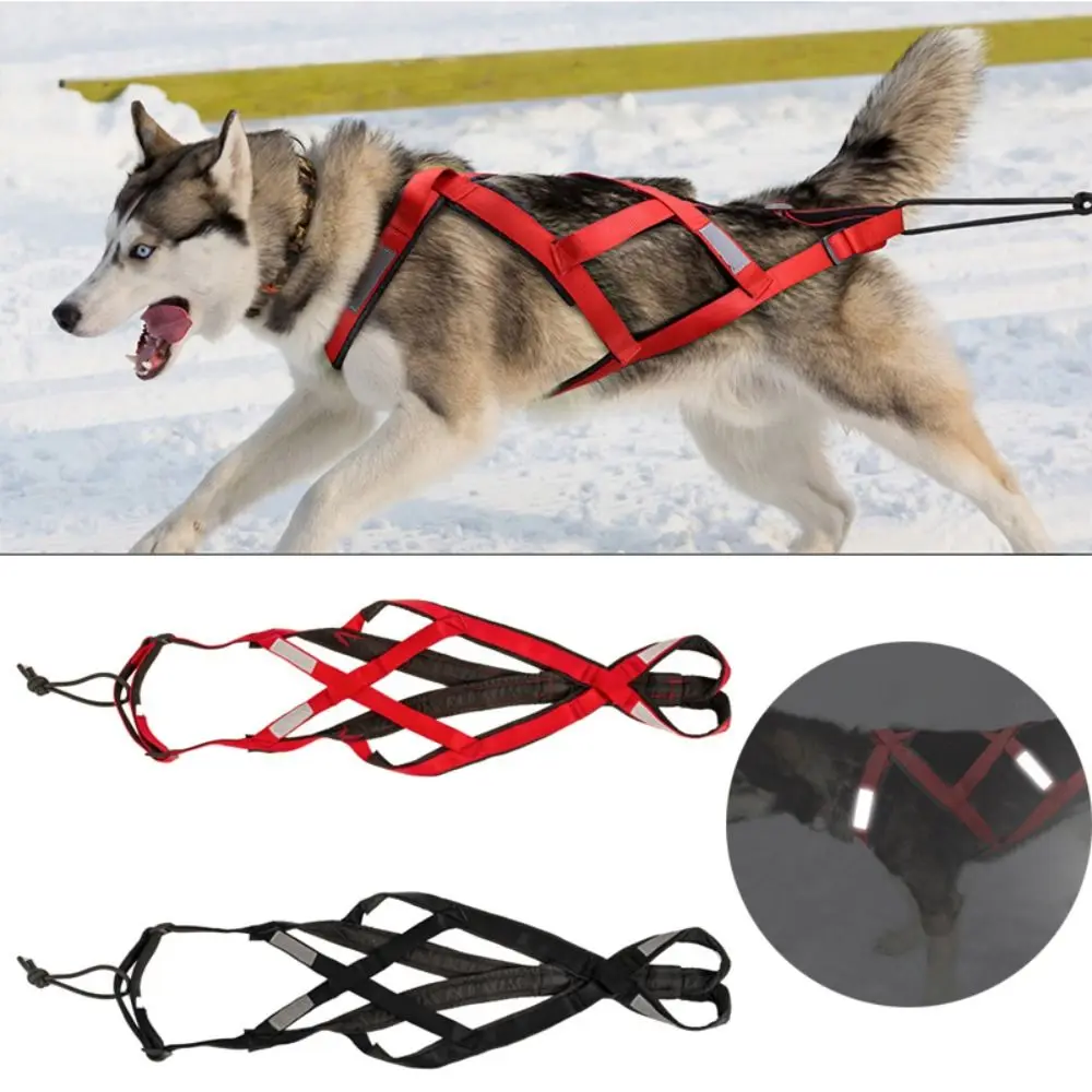 Reflective Dog Harness Pulling Sledding Adjustable Dog Sled Harness Weight Mushing Skijoring Pet Back Chest Strap Large Dogs
Reflective Dog Harness Pulling Sledding Adjustable Dog Sled Harness Weight Mushing Skijoring Pet Back Chest Strap Large Dogs