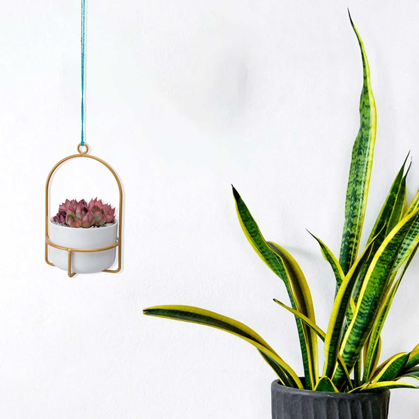 1Set Ceramic Iron Wall Hanging Flower Pot Golden Frame White Flowerpot Chic Home Wall Decor for Succulents Air Plants Mini
1Set Ceramic Iron Wall Hanging Flower Pot Golden Frame White Flowerpot Chic Home Wall Decor for Succulents Air Plants Mini