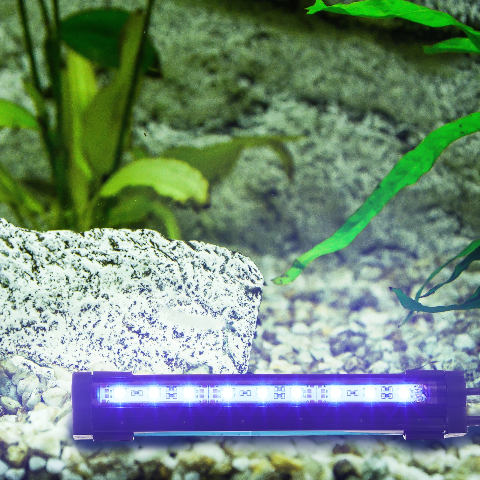 Color Changing Fish Tank Light Waterproof Submersible Aquarium Lamp Energy Saving Long Life Eu Waterproof Fish Tank Light Plug
Color Changing Fish Tank Light Waterproof Submersible Aquarium Lamp Energy Saving Long Life Eu Waterproof Fish Tank Light Plug