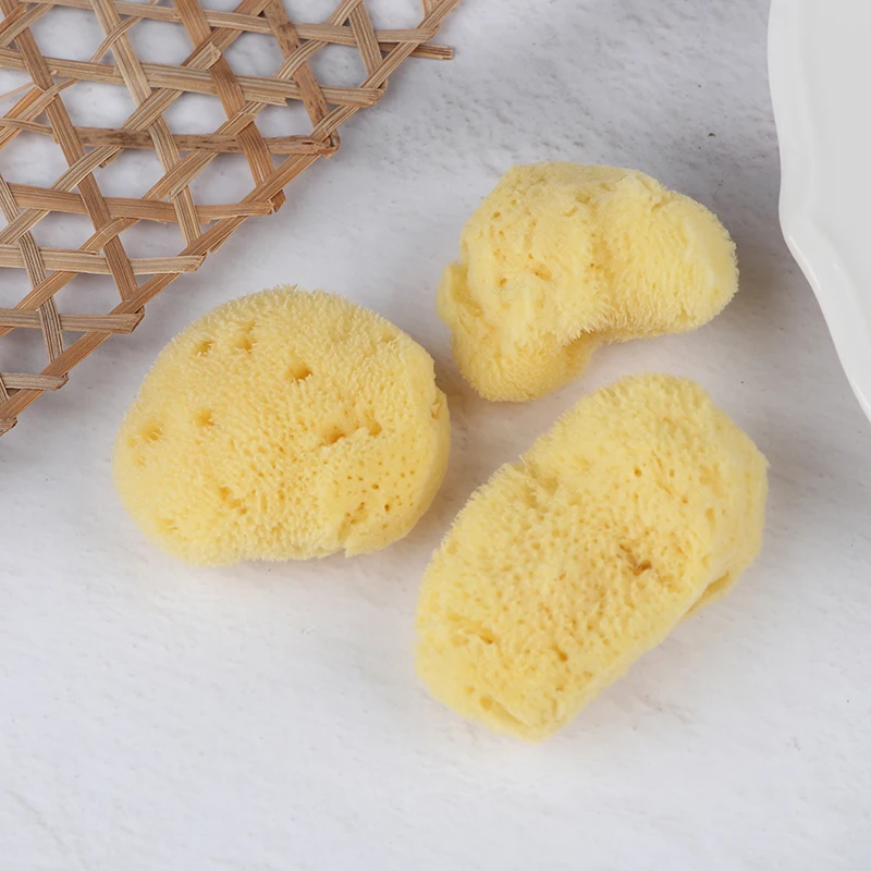 Natural Greek Sponge Hardware Tool for Special Texture Creation and Watercolor Painting, Includes Absorbent Wiping Sponge Brush
Natural Greek Sponge Hardware Tool for Special Texture Creation and Watercolor Painting, Includes Absorbent Wiping Sponge Brush