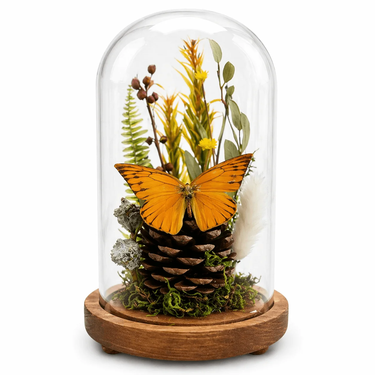 Real Butterfly Glass Dome Decor with Wooden Base, desktop ornament,butterfly specimen,creative design , Gift for Women
Real Butterfly Glass Dome Decor with Wooden Base, desktop ornament,butterfly specimen,creative design , Gift for Women