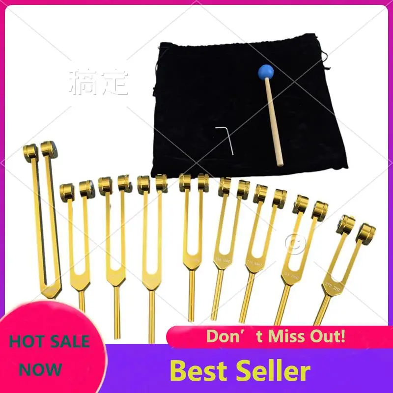 ABXI-Aluminum Alloy Chakra Tuning Forks Set With Hammers For Healing, Sound Therapy, Meditation, Yoga
ABXI-Aluminum Alloy Chakra Tuning Forks Set With Hammers For Healing, Sound Therapy, Meditation, Yoga