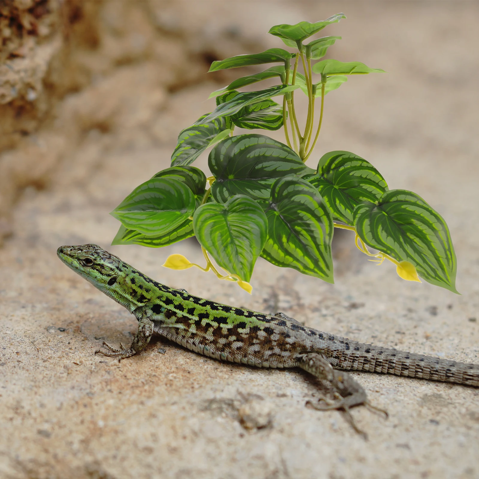 Artificial Plant Ornament Reptile Terrarium Decor Simulation Plants No Harm Material Bright Tank Decoration
Artificial Plant Ornament Reptile Terrarium Decor Simulation Plants No Harm Material Bright Tank Decoration