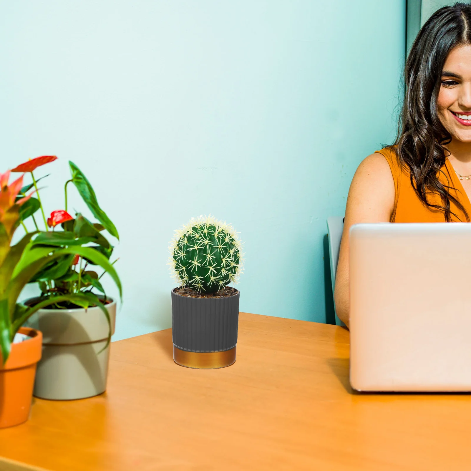 Artificial Succulent Potted Cactus Simulation Plant Realistic Landscape Ornament Perfect for Table Desktop Home Study Bedroom 
Artificial Succulent Potted Cactus Simulation Plant Realistic Landscape Ornament Perfect for Table Desktop Home Study Bedroom