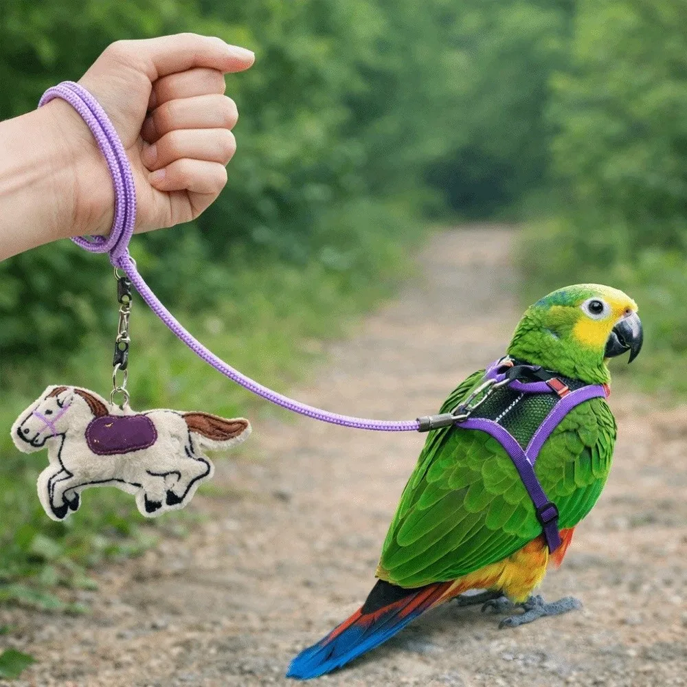 Anti-Bite Bird Harness Leash Adjustable Elastic Rope Parrot Traction Rope Lightweight Anti-flying Flying Traction Straps
Anti-Bite Bird Harness Leash Adjustable Elastic Rope Parrot Traction Rope Lightweight Anti-flying Flying Traction Straps