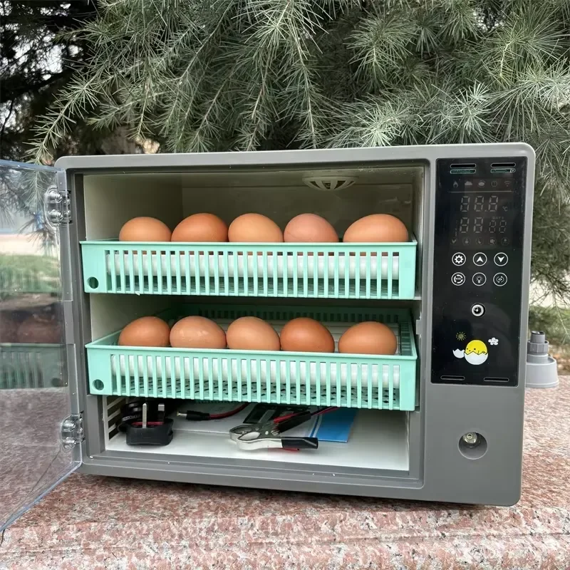 New Large Small Mini 24 Capacity High Hatching Rate Dual Power Chicken Egg Incubators for Turkey Duck Ostrich for South
New Large Small Mini 24 Capacity High Hatching Rate Dual Power Chicken Egg Incubators for Turkey Duck Ostrich for South