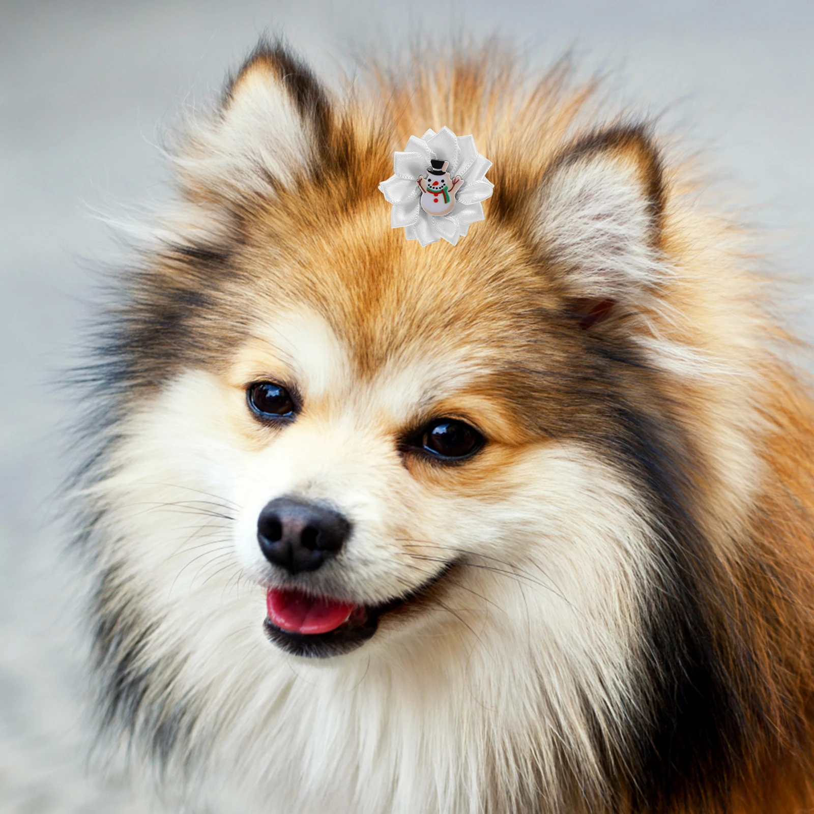 30 pcs Pet Christmas Accessory Hair Bows Christmas Dog Headwear Puppy Accessories Soft Dog Topknot For Cats Dogs
30 pcs Pet Christmas Accessory Hair Bows Christmas Dog Headwear Puppy Accessories Soft Dog Topknot For Cats Dogs