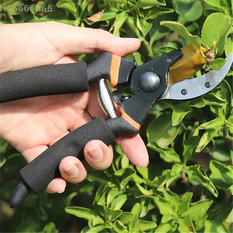 1PC Garden Shears Precision Blade Garden Pruning Scissors Fruit Tree Pruning Shears Bonsai Pruners Garden Scissors Grafting Tool 
1PC Garden Shears Precision Blade Garden Pruning Scissors Fruit Tree Pruning Shears Bonsai Pruners Garden Scissors Grafting Tool