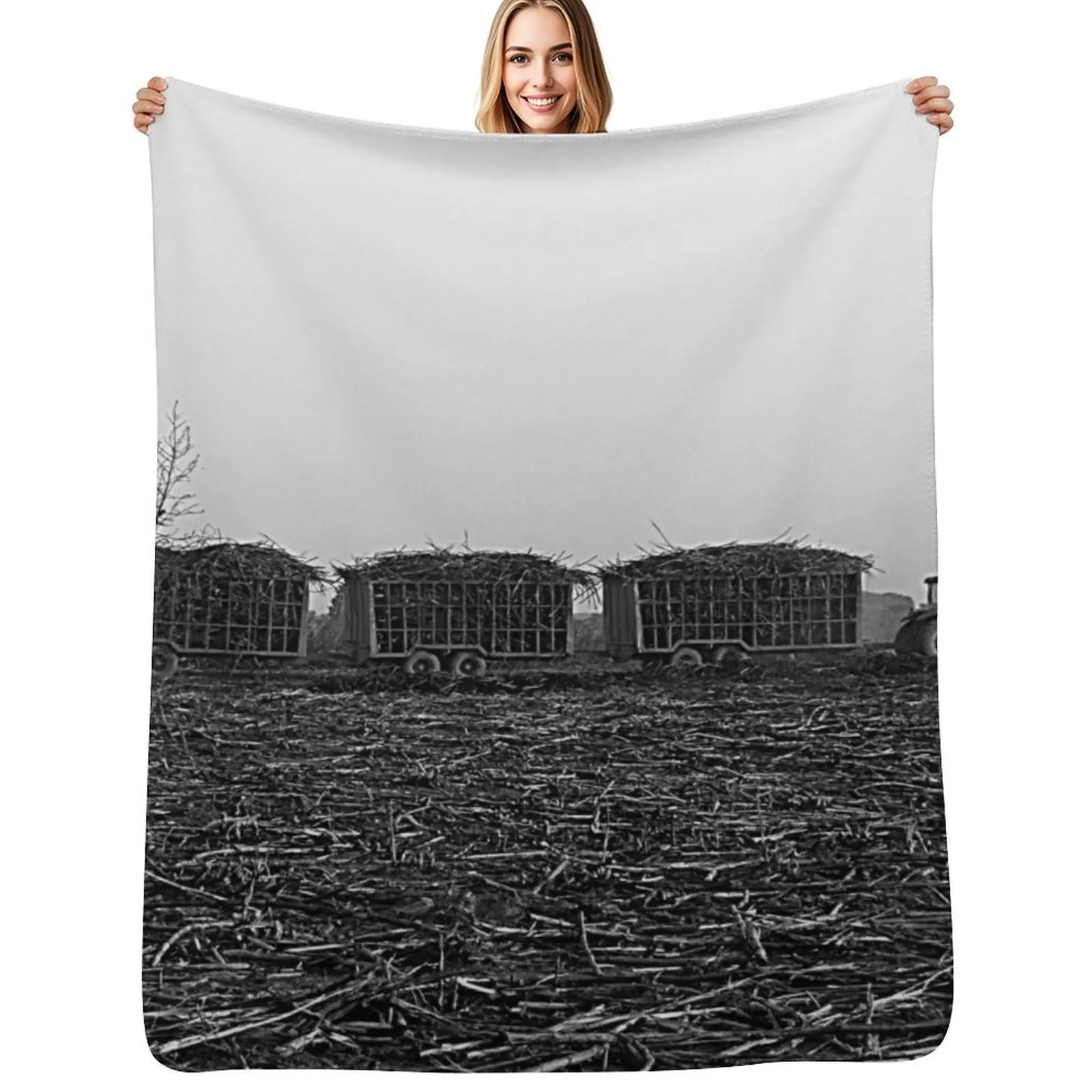 Sugar Cane Harvest, Harvested Field, Plantation, Panorama, Africa Throw Blanket Anti Shedding Soft Fuzzy Blanket for Home
Sugar Cane Harvest, Harvested Field, Plantation, Panorama, Africa Throw Blanket Anti Shedding Soft Fuzzy Blanket for Home