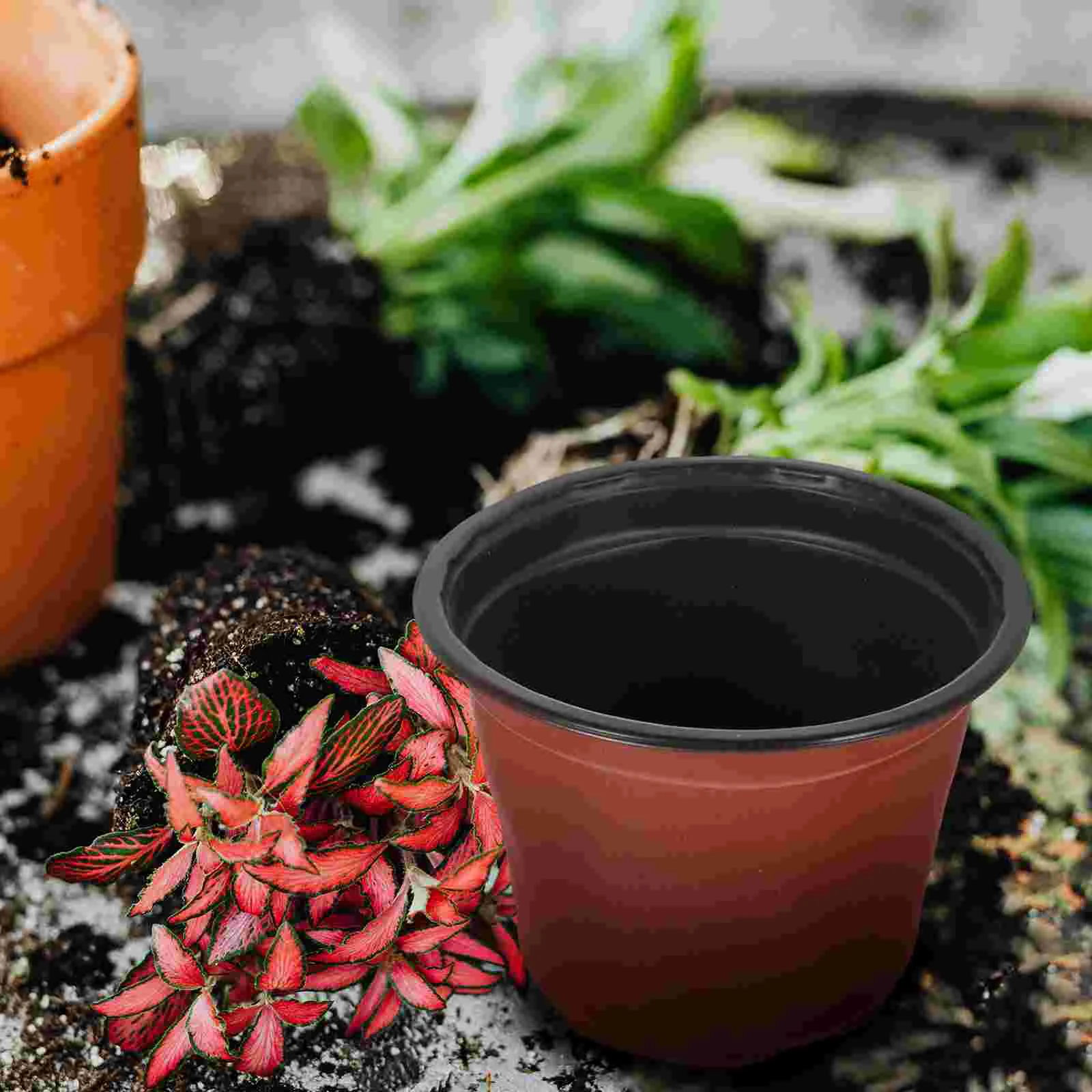 20 Pcs Decorate Seedling Pot Indoor Plant Potting Cups Plastic Balcony Flower Pots
20 Pcs Decorate Seedling Pot Indoor Plant Potting Cups Plastic Balcony Flower Pots
