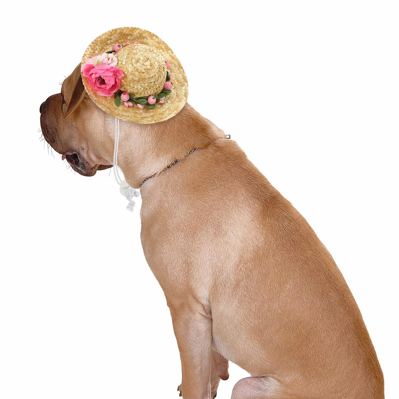 Dog Straw Hat Pet Sun Visor Floral Fancy Outdoor Activities Birthday Presents Halloween Costume Christmas Gifts
Dog Straw Hat Pet Sun Visor Floral Fancy Outdoor Activities Birthday Presents Halloween Costume Christmas Gifts