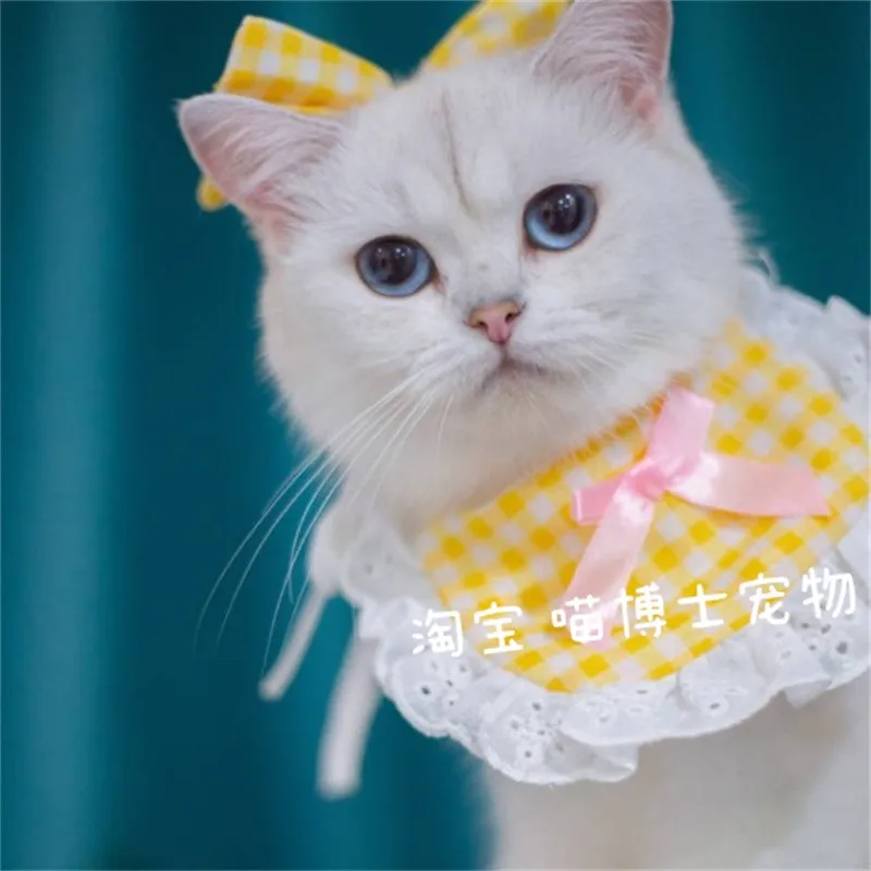 Fairy Doll Cat Princess Wind Lace Scarf Bib, Cat Hair Clip, Dog Saliva Towel, Pet Bib
Fairy Doll Cat Princess Wind Lace Scarf Bib, Cat Hair Clip, Dog Saliva Towel, Pet Bib