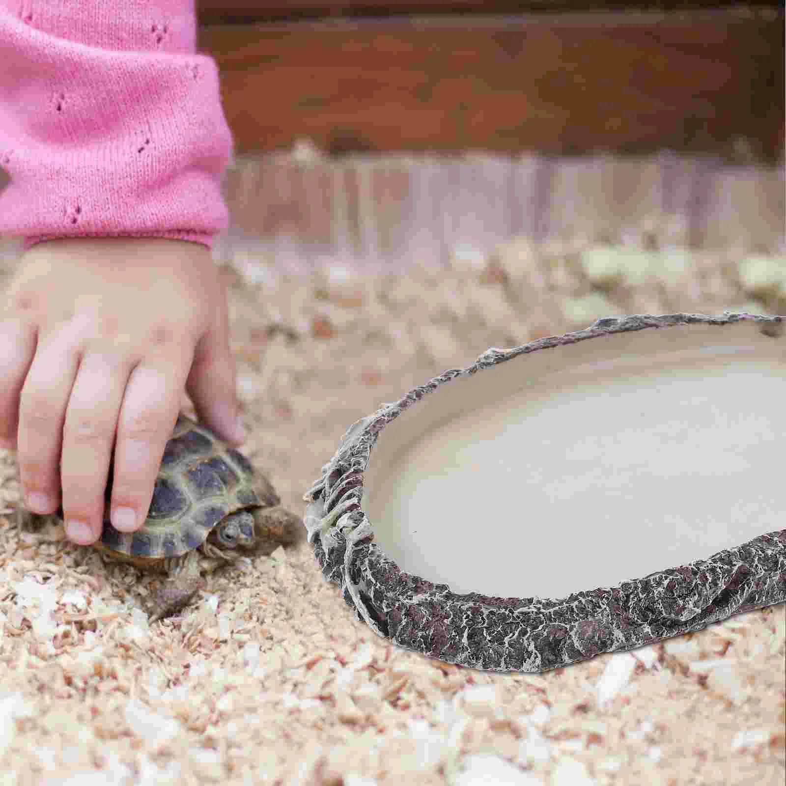 Tortoise Water Basin Resin Turtle Water Food Dish Small Pet Food Feeder Reptile Tank Water Basin reptile food dish
Tortoise Water Basin Resin Turtle Water Food Dish Small Pet Food Feeder Reptile Tank Water Basin reptile food dish