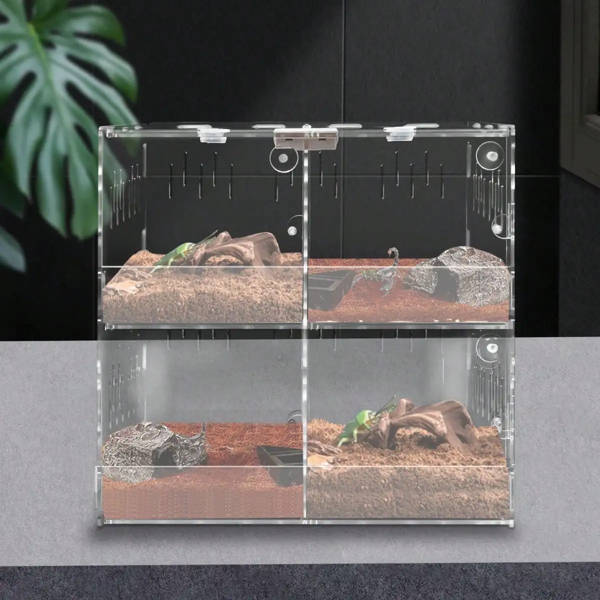 4 Acrylic Grids Reptile Cage Large Tank Cage Enclosure Box for Small Tree Dwelling Reptiles, Amphibians
4 Acrylic Grids Reptile Cage Large Tank Cage Enclosure Box for Small Tree Dwelling Reptiles, Amphibians