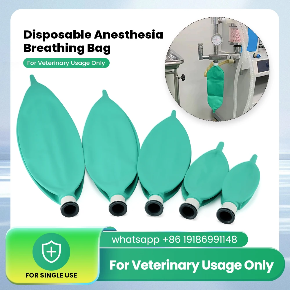 Disposable Animal Anesthesia Machine Air Storage Bag Non Latex Simulated Lung Air Breathing Bag Anesthesia Respiratory Circuit
Disposable Animal Anesthesia Machine Air Storage Bag Non Latex Simulated Lung Air Breathing Bag Anesthesia Respiratory Circuit