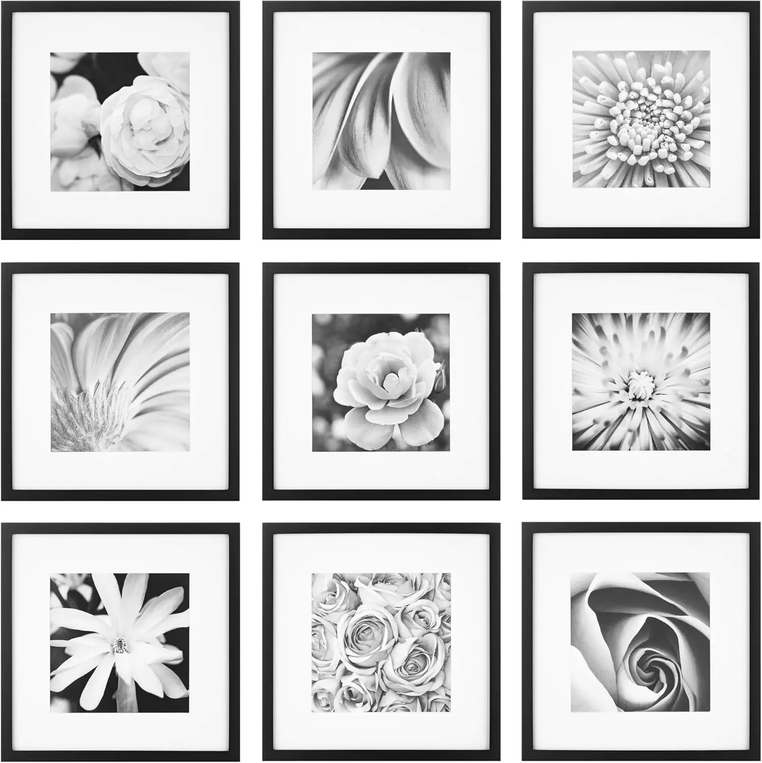 12x12 Picture Frames Set with Real Glass for 8x8 Photos, Wall Decor Collage for Home Gallery
12x12 Picture Frames Set with Real Glass for 8x8 Photos, Wall Decor Collage for Home Gallery