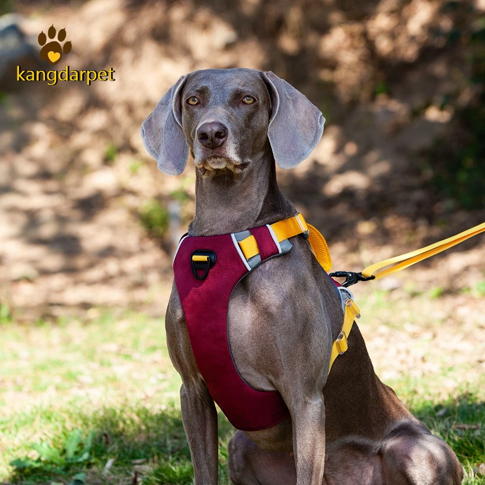 No Pull Dog Harness For Medium Dogs Portable Pet Vest Harness With Front Leash Clip For Puppy Chow Chow Walking Mascotas
No Pull Dog Harness For Medium Dogs Portable Pet Vest Harness With Front Leash Clip For Puppy Chow Chow Walking Mascotas