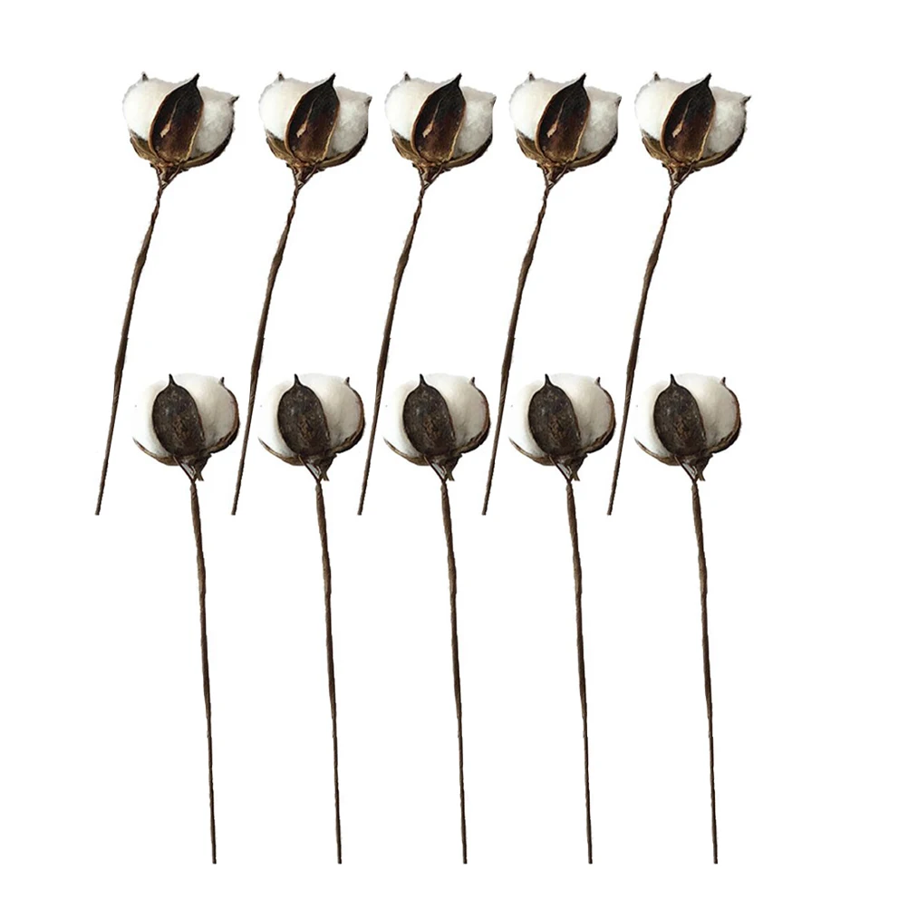 10 Pcs Simulated Cotton Branches Dried Stems Fake Floral Decor Party Home nament Bendable Lifelike
10 Pcs Simulated Cotton Branches Dried Stems Fake Floral Decor Party Home nament Bendable Lifelike