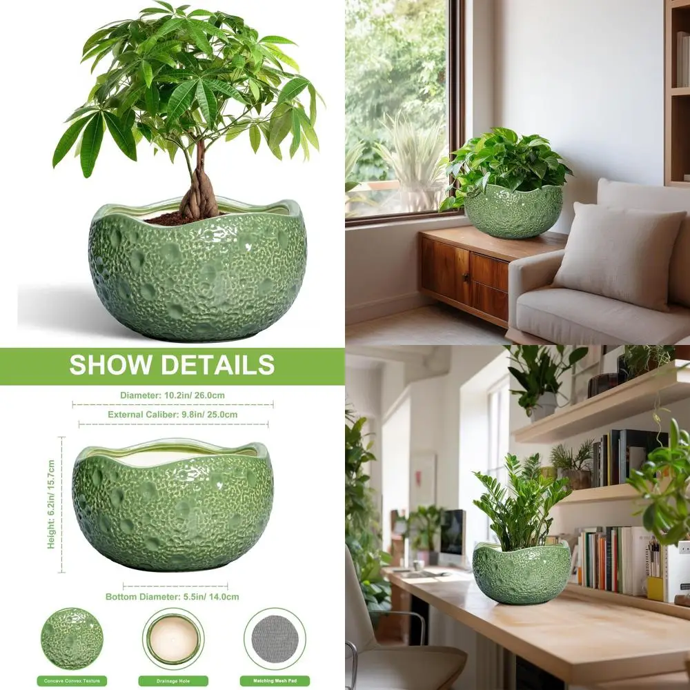 10 Inch Round Bonsai Pots with Drainage, Modern Decorative Planters for Indoor and Outdoor, Green, Gifts for Plant Enthusiasts
10 Inch Round Bonsai Pots with Drainage, Modern Decorative Planters for Indoor and Outdoor, Green, Gifts for Plant Enthusiasts