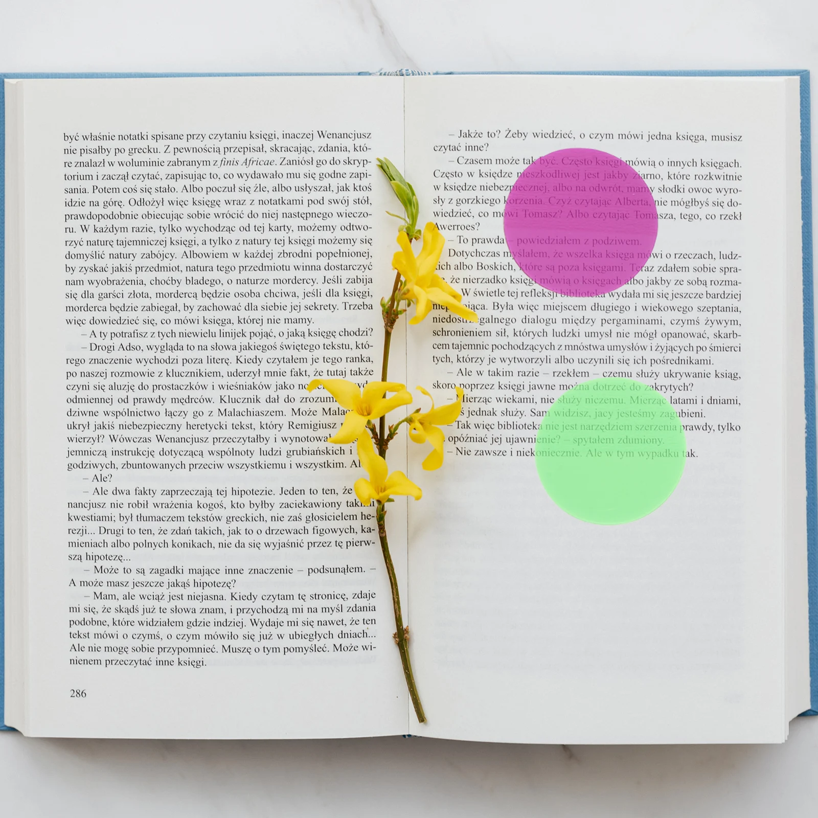 1Set Adorable Round Note Stickers Pet Material Selfadhesive Memo Pads for Books Files Household Office Longterm Use
1Set Adorable Round Note Stickers Pet Material Selfadhesive Memo Pads for Books Files Household Office Longterm Use