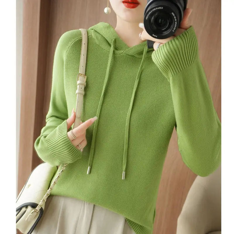 Autumn and Winter Women's Pullover Hooded Drawstring Solid Screw Thread Lantern Long Sleeve Sweater Knit Fashion Casual Tops
Autumn and Winter Women's Pullover Hooded Drawstring Solid Screw Thread Lantern Long Sleeve Sweater Knit Fashion Casual Tops