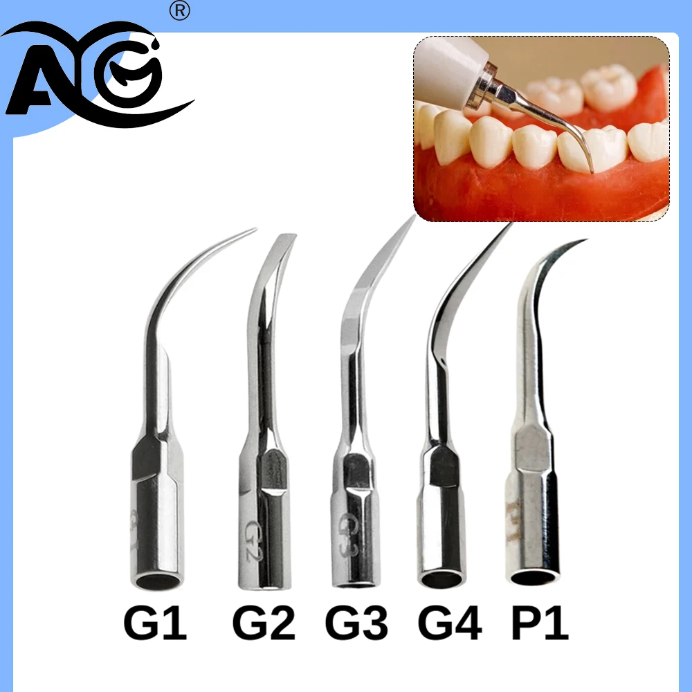 AG 1Pcs Dental Ultrasonic Scaler Tips Scaling Periodontics Endo Perio Scaling Tip fit for EMS Woodpecker DTE NSK SATELEC Scalers
AG 1Pcs Dental Ultrasonic Scaler Tips Scaling Periodontics Endo Perio Scaling Tip fit for EMS Woodpecker DTE NSK SATELEC Scalers