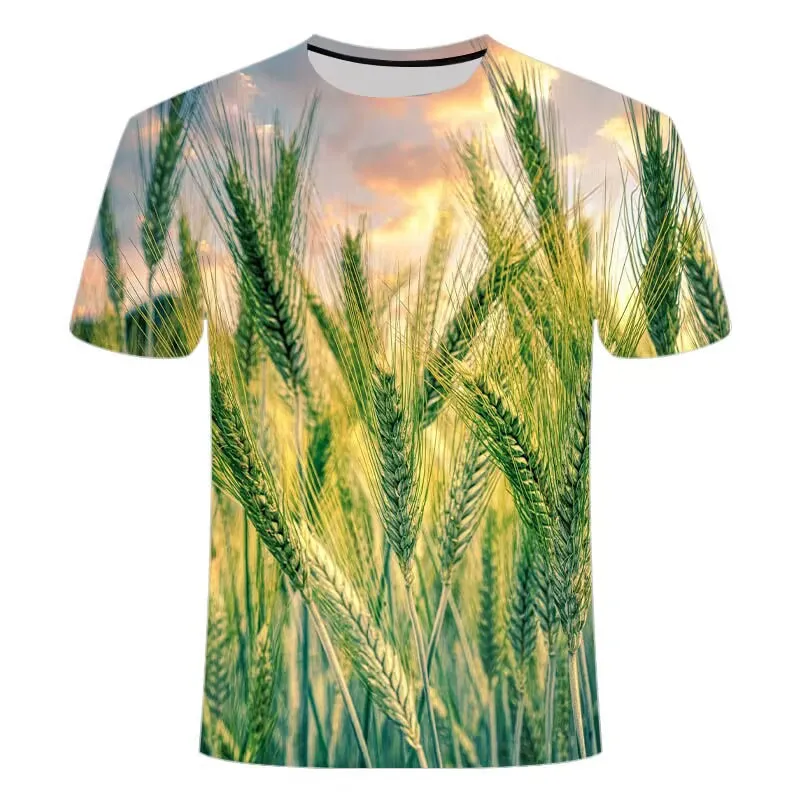 Summer Creative Food Fashion Men'S T-Shirt 3d Hd Digital Printed Crewneck Short Sleeve Shirt Large Outline Comfortable Clothing
Summer Creative Food Fashion Men'S T-Shirt 3d Hd Digital Printed Crewneck Short Sleeve Shirt Large Outline Comfortable Clothing