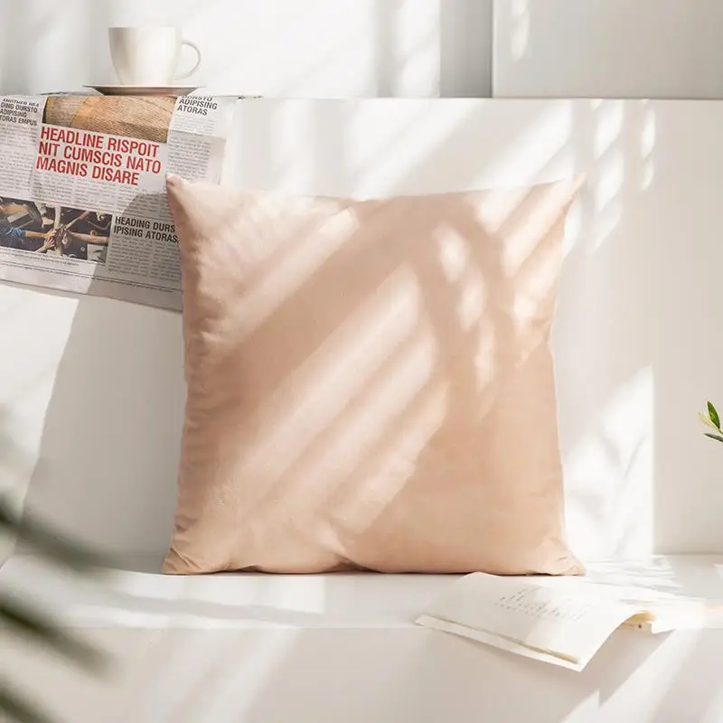 Pure Color Milk Velvet Pillow Home Decor Window Cuion Barest Pad without Core Soft Fabric Other Material Pillowcase
Pure Color Milk Velvet Pillow Home Decor Window Cuion Barest Pad without Core Soft Fabric Other Material Pillowcase