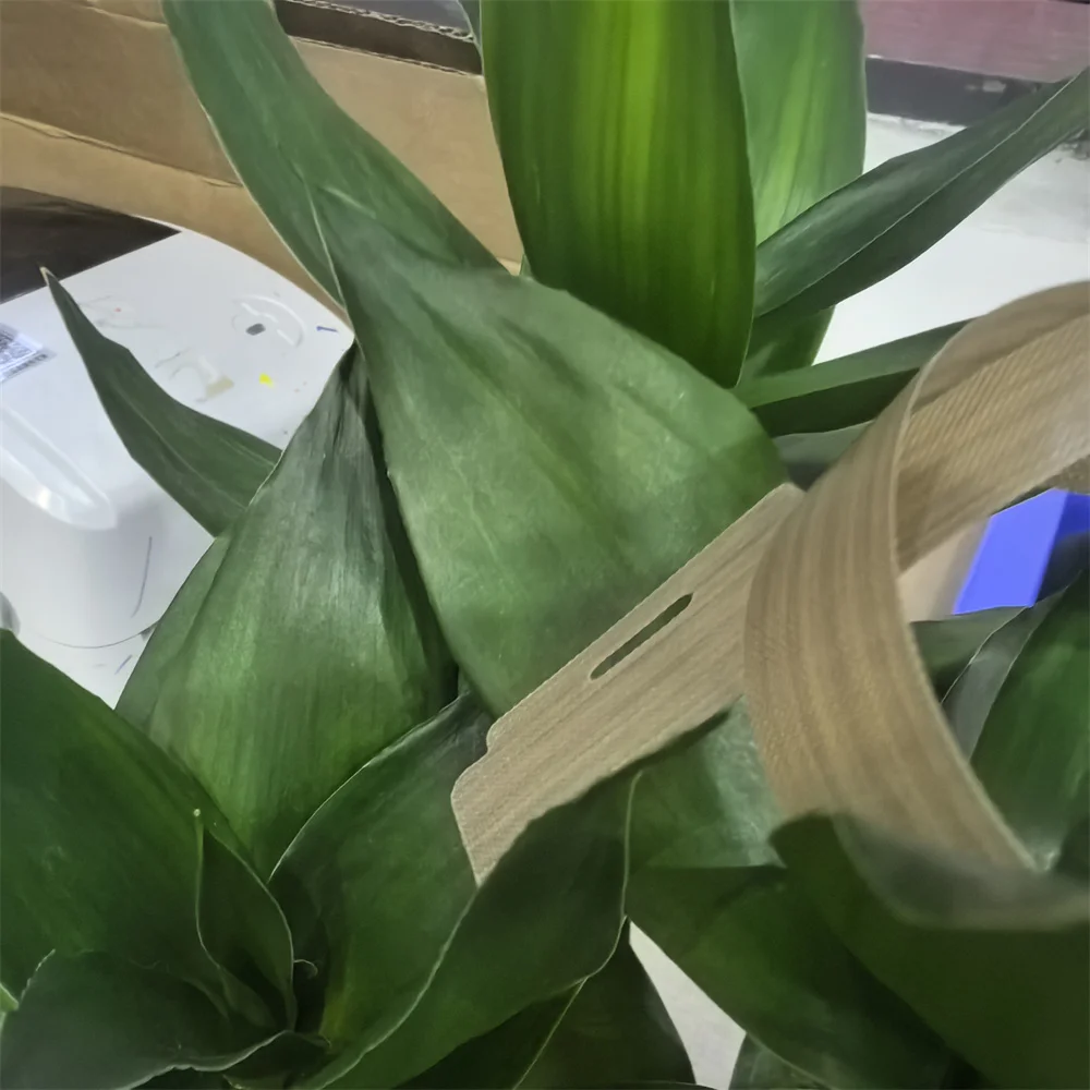 604K62200 604K94280 604K62210 Fuser Heat Belt Slip Sheet for Xerox WorkCentre WC 7525 7530 7535 7545 7556 7830 7835 7845 7855
604K62200 604K94280 604K62210 Fuser Heat Belt Slip Sheet for Xerox WorkCentre WC 7525 7530 7535 7545 7556 7830 7835 7845 7855