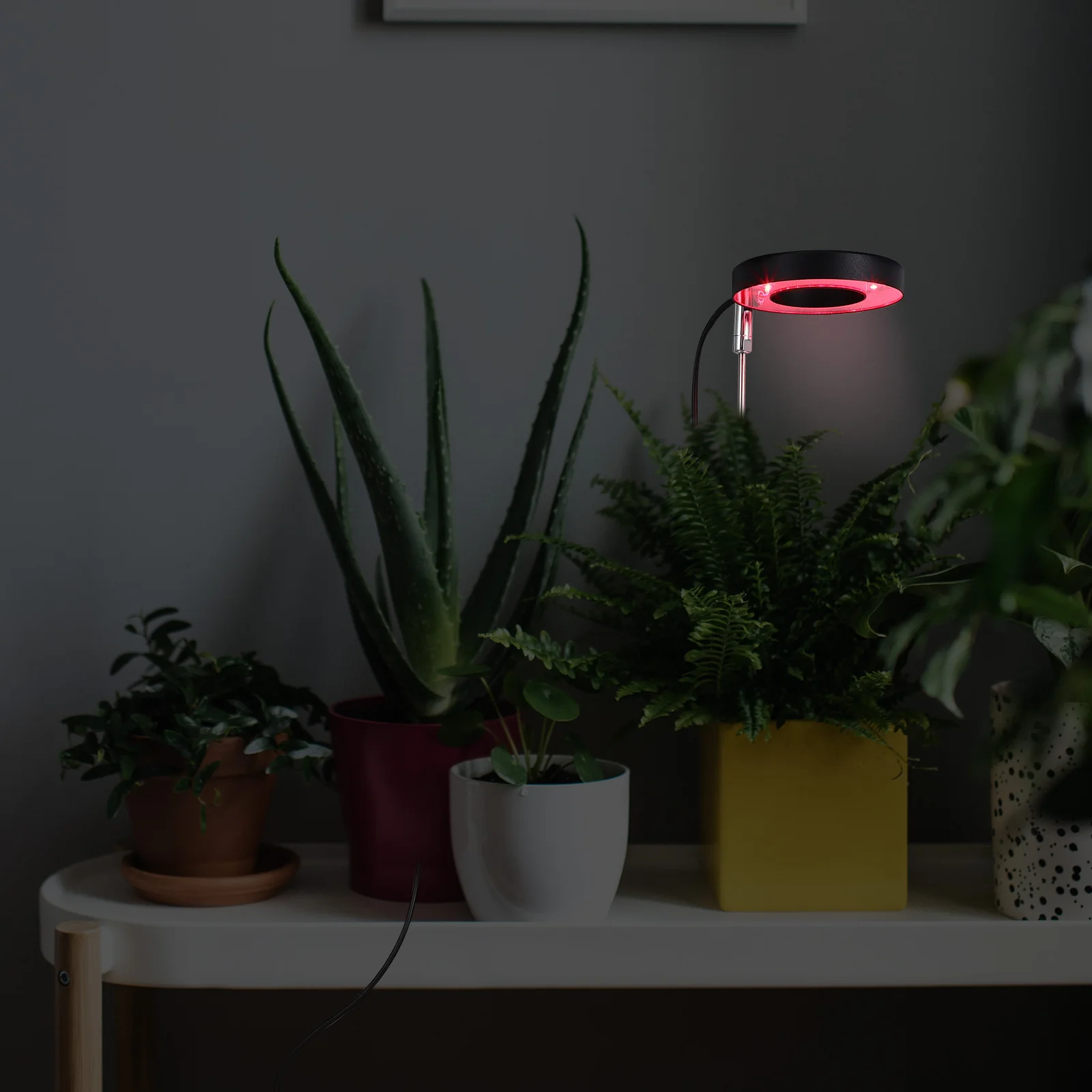 Adjustable Indoor Plant Light Automatic Timing Full Led Grow Lamp 360° Rotatable Low Power Uv Grow Light For Indoor
Adjustable Indoor Plant Light Automatic Timing Full Led Grow Lamp 360° Rotatable Low Power Uv Grow Light For Indoor
