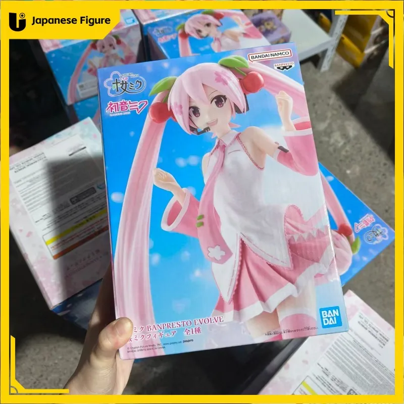Original Bandai Banpresto Piapro Characters Banpresto Evolv Miku Anime Action Figures Model Toy 22Cm Ornaments Collect Gift
Original Bandai Banpresto Piapro Characters Banpresto Evolv Miku Anime Action Figures Model Toy 22Cm Ornaments Collect Gift