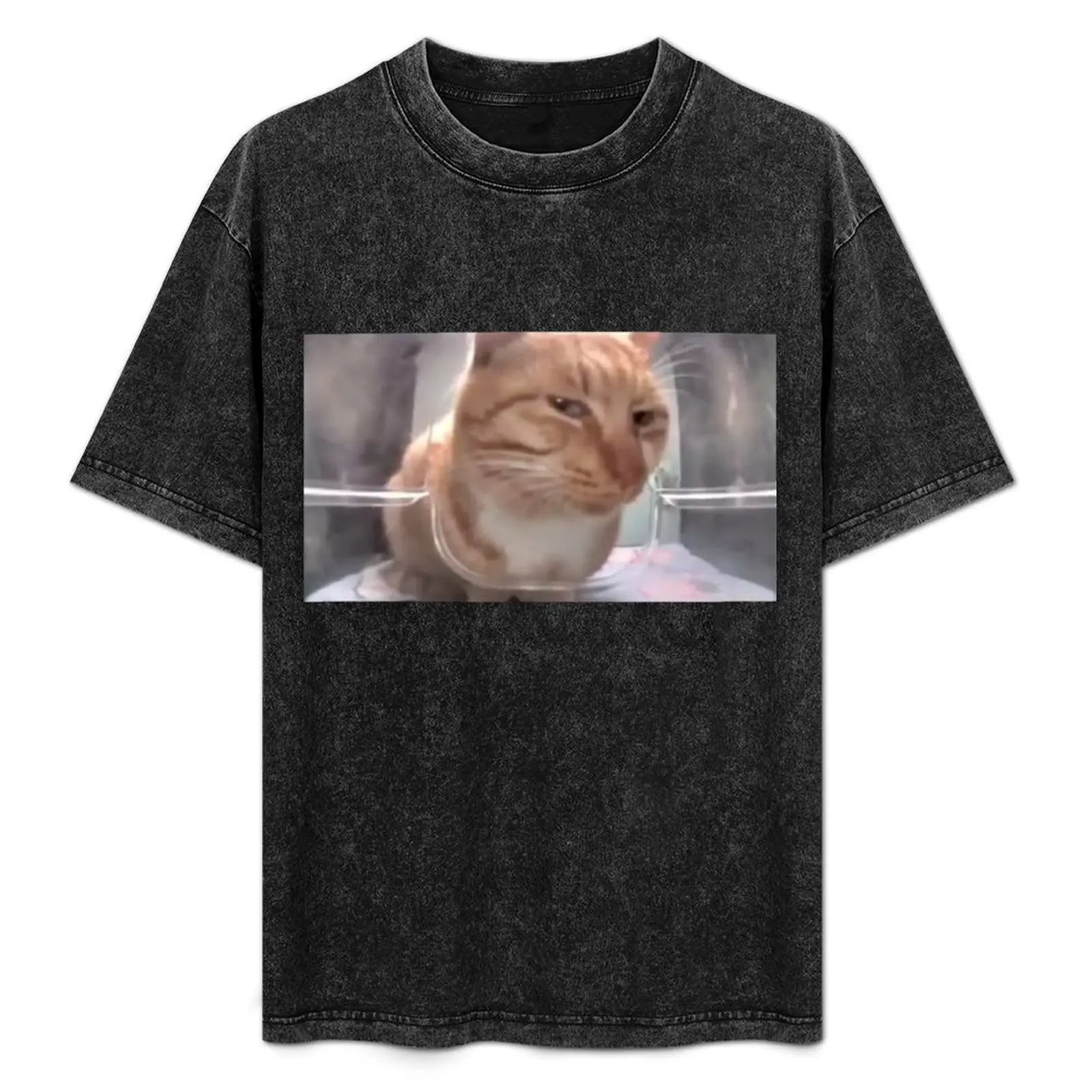 Mr. Fresh side eye cat T-Shirt Holiday Casual Short Sleeve Top
Mr. Fresh side eye cat T-Shirt Holiday Casual Short Sleeve Top