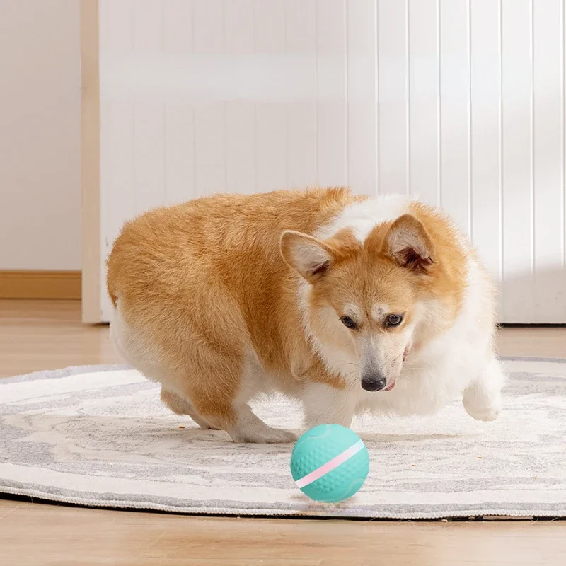 Dog Toy Ball Automatic Moving Bouncing Rolling Ball USB Smart Puppy Interactive Dog Chew Toy Ball
Dog Toy Ball Automatic Moving Bouncing Rolling Ball USB Smart Puppy Interactive Dog Chew Toy Ball
