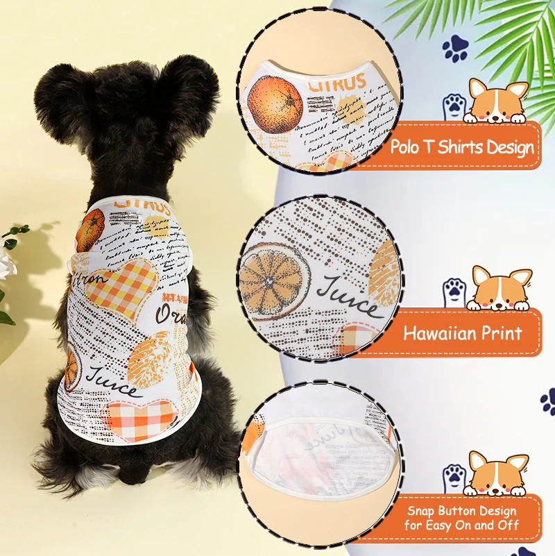 New cat and dog pet vest, summer thin breathable cat short sleeved clothes, spring and autumn T-shirts, orange print
New cat and dog pet vest, summer thin breathable cat short sleeved clothes, spring and autumn T-shirts, orange print