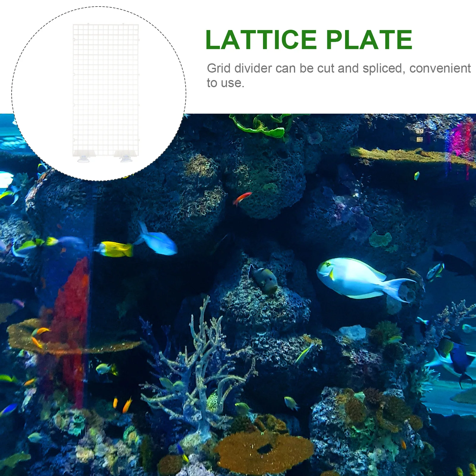 4pcs Aquarium Isolation Panel 30X15Cm Transparent Spliced Lattice Plate For Fish Tank Breeding Separation Bottom Filter Setup
4pcs Aquarium Isolation Panel 30X15Cm Transparent Spliced Lattice Plate For Fish Tank Breeding Separation Bottom Filter Setup