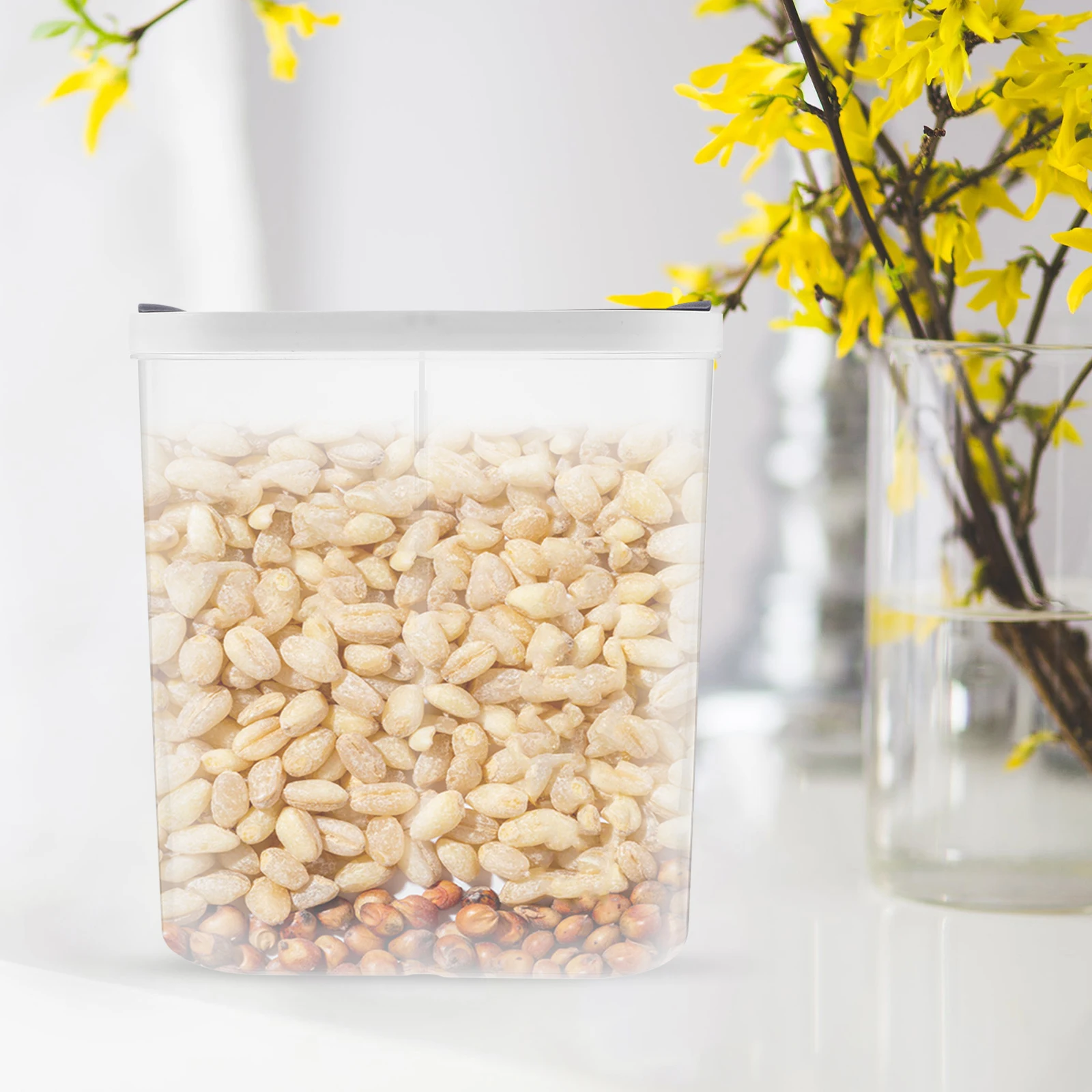 Food Storage Airtight Jar Divided Clear Grain Canister Sealed Cereal Container Pantry Organizer Kitchen Storage Box
Food Storage Airtight Jar Divided Clear Grain Canister Sealed Cereal Container Pantry Organizer Kitchen Storage Box