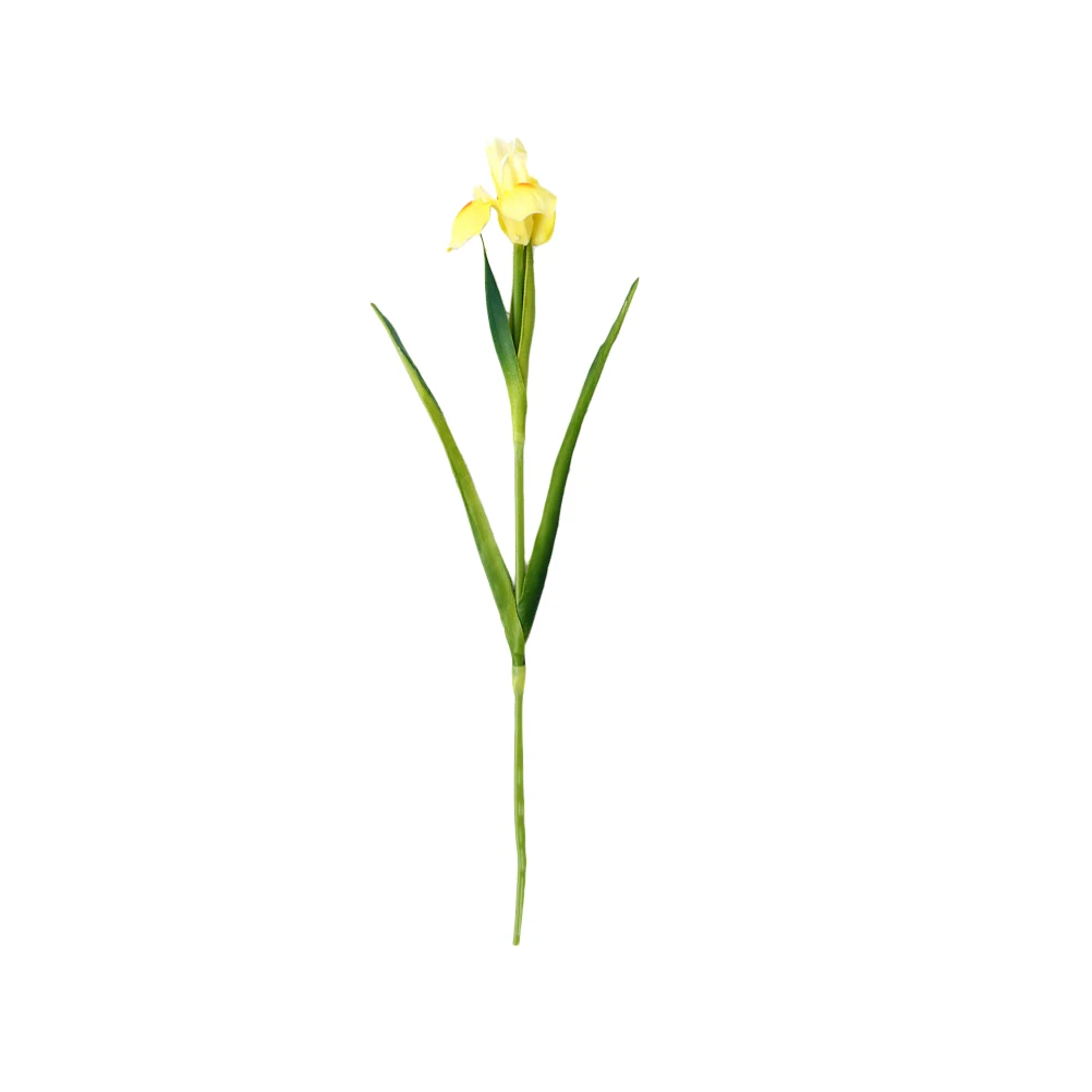 Simulated Fake Flower Lifelike Flowers Simulation Pu Perfect for Any Decor Style Artificial Wedding Decoration Care Free
Simulated Fake Flower Lifelike Flowers Simulation Pu Perfect for Any Decor Style Artificial Wedding Decoration Care Free