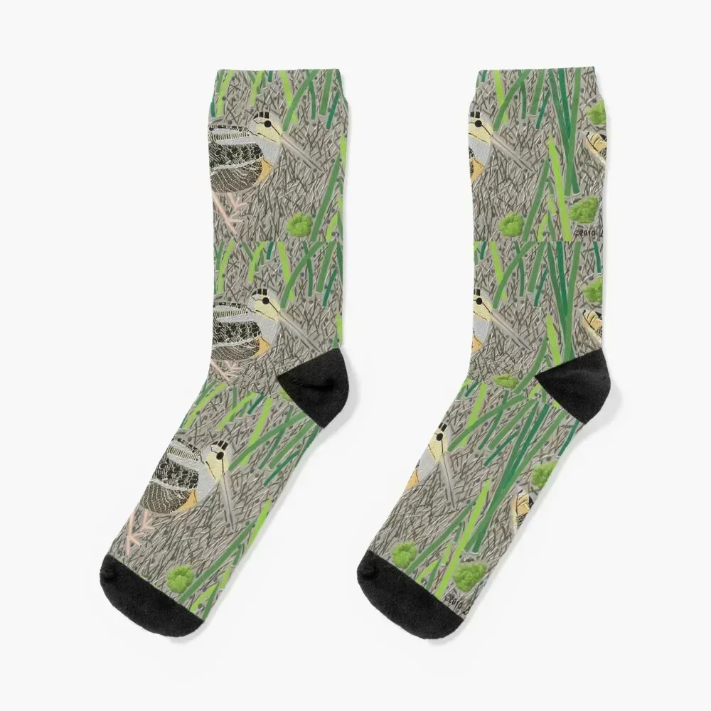 American Woodcock Socks designer halloween christmas gifts crazy Socks For Men Women's
American Woodcock Socks designer halloween christmas gifts crazy Socks For Men Women's