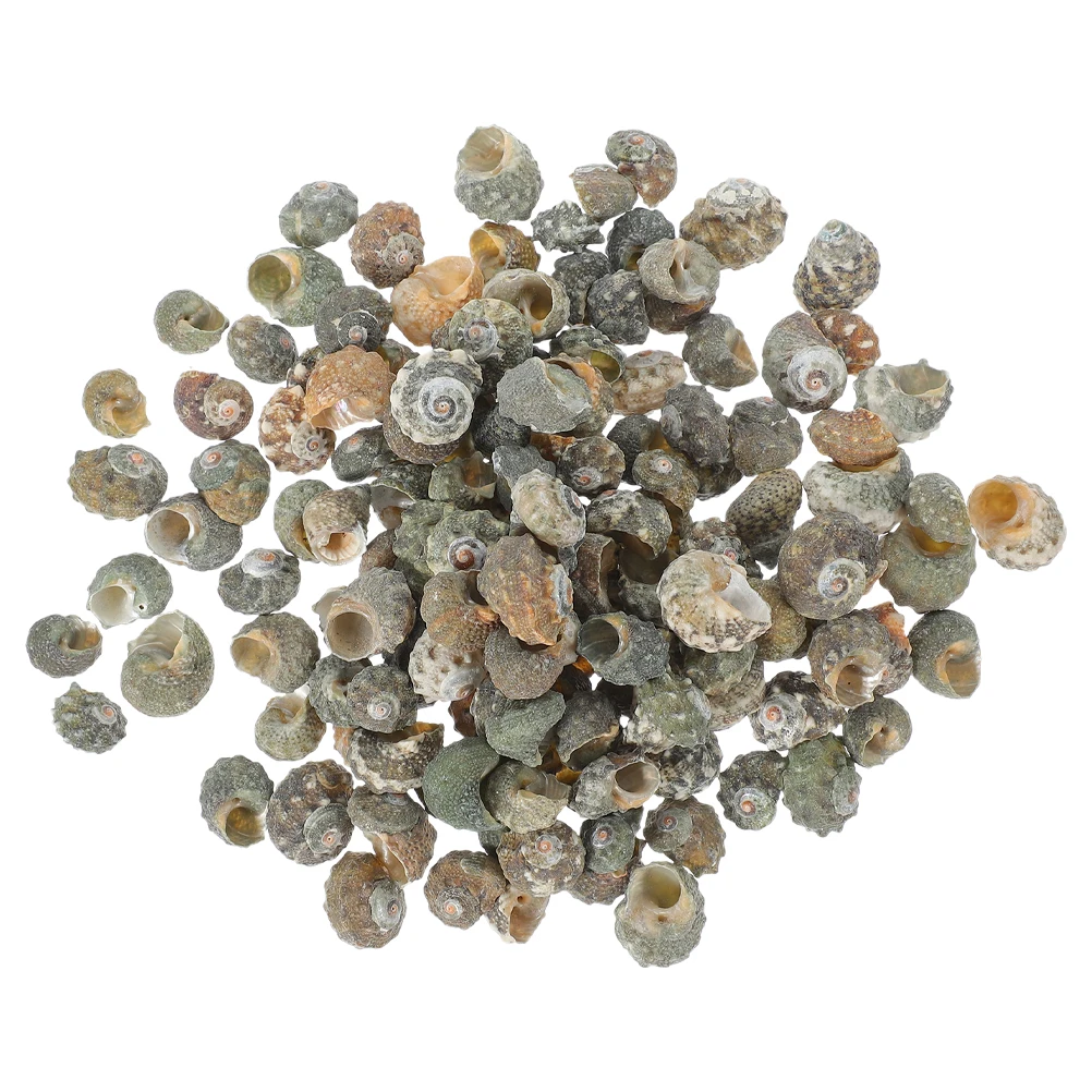 100pcs Seven-star Snail 1-1.5cm Natural Conch Shells Aquarium Fish Tank Landscaping Crab Replacement Delicate Craft Home
100pcs Seven-star Snail 1-1.5cm Natural Conch Shells Aquarium Fish Tank Landscaping Crab Replacement Delicate Craft Home