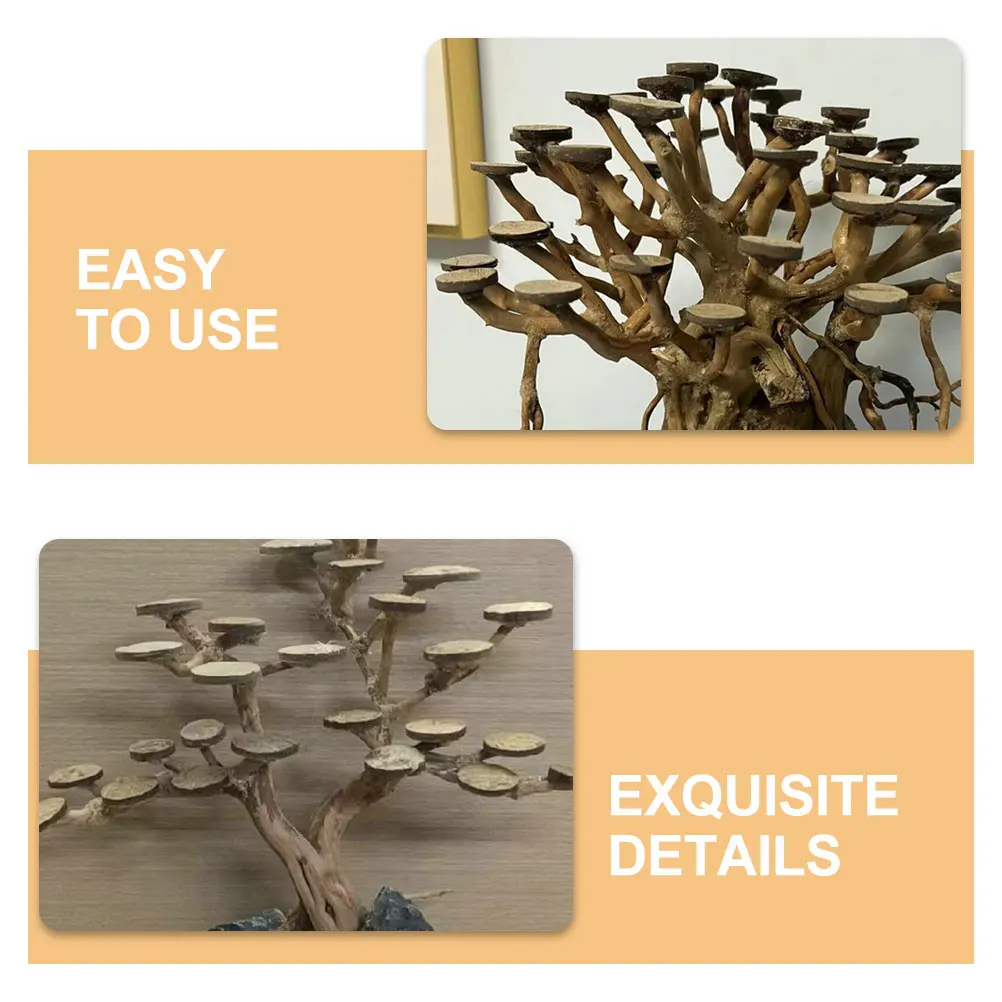 50pcs Coconut Discs Fish Tank Decoration Aquarium Ornament Round Chips Natural Hideout Environmentally Friendly Coconuts Shell
50pcs Coconut Discs Fish Tank Decoration Aquarium Ornament Round Chips Natural Hideout Environmentally Friendly Coconuts Shell